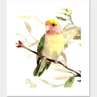 Lovebird Posters and Art